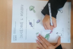 121046161_1509434479242795_7893855175146828357_n