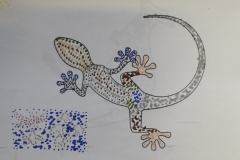 146144906_419256022516987_754030501747015512_n