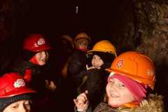 150d9d6f-e20e-4eb1-b35a-fd160785c873