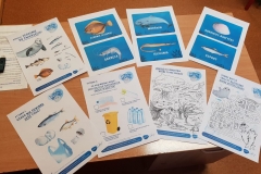 252613663_913780322595215_8441563219851065255_n