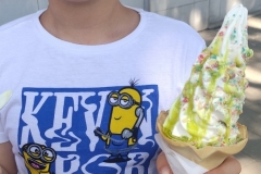 IMG_20230601_103924_1