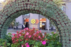 311316227_590521849533836_1505585647458218355_n