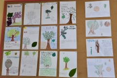 WhatsApp-Image-2023-05-18-at-16.58.41