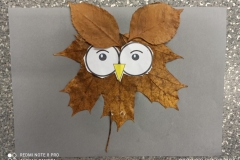 123431016_1099884100430702_6944768641219701330_o