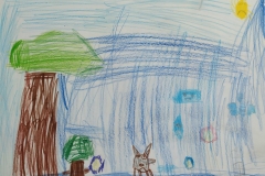 img_20201112_000803_optimized