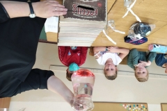 img_20201028_130238_optimized