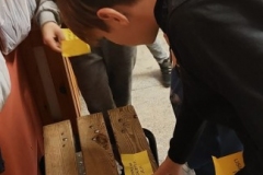 326979190_531769038759276_8425679050592029917_n