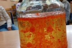 327537986_2369513746548553_5075853603949228266_n