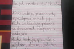 Ptaki-wiosną
