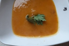 124523672_366361574621040_1688584676218754189_n