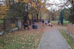 IMG_20201030_131159-2