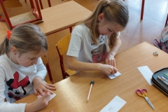 335023280_1428336607753620_2709880805318288360_n