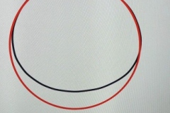 315457349_618602903392397_7833714411294856506_n