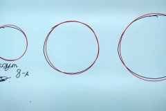 315587966_618602960059058_7694144677556376261_n