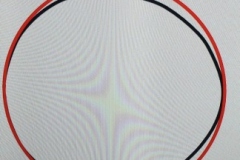 315656012_618603220059032_5324084969434431757_n