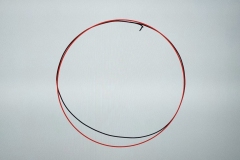 315948488_618603353392352_3578316175167685482_n