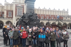 46826205_262074481328734_846713662369431552_n