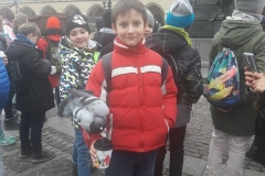 46856826_212605802967207_6993606324521009152_n