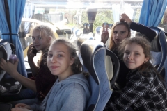 44703391_354854585284691_279339969942650880_n