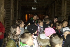 44707941_313695509216575_5186368052974845952_n