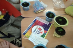 WhatsApp-Image-2021-05-21-at-13.46.33