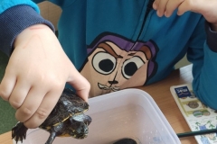 IMG_20230425_102727_1