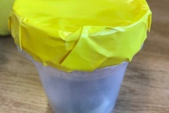 image7_1