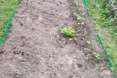 SAVE_20200610_135825