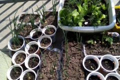 15882411080924391805307706734047