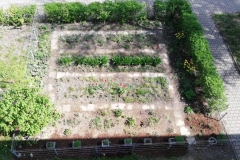 99398D9C-F620-4296-9166-37F335798B49