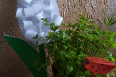 15877399176821236004418875911606-1