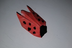 IMG_20200424_184726-1