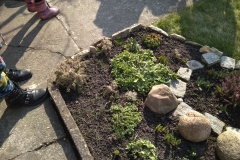 1_IMG_20210310_133244