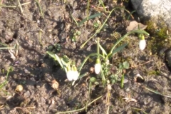 1_IMG_20210310_133802