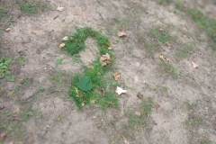 IMG-20230922-WA0007