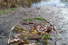 338212129_880119129747090_1547875264721581404_n