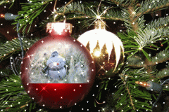 imageedit_18_5700632083