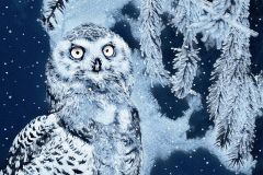 imageedit_34_2033679514