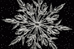 imageedit_1_6976508594