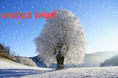 imageedit_4_3661829922