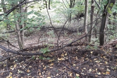 received_1330147213829289