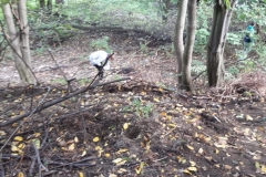 received_534573037303005