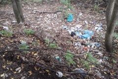 received_763186364119253