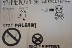 336086702_2219345584942652_3304430878166468717_n