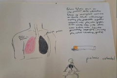 336480006_517258767262663_6877036919173578409_n