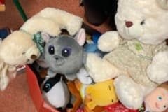 132668837_417639876105109_6761710529209439469_n