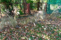 IMG_20211005_112606