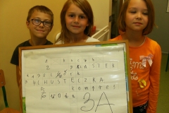3 3a
