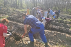 343399690_979705223405639_6830116227565478300_n