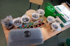 336302378_700070498544516_1633922405759912484_n